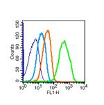 VE Cadherin Antibody in Flow Cytometry (Flow)