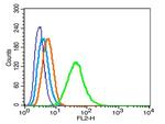 LAMR1CT Antibody in Flow Cytometry (Flow)