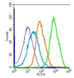 JAK2 Antibody in Flow Cytometry (Flow)