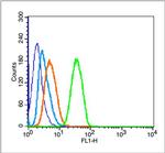 Mtp53 (N235K,N239Y) Antibody in Flow Cytometry (Flow)