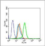 SIRT1 Antibody in Flow Cytometry (Flow)