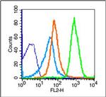 NKG2D Antibody in Flow Cytometry (Flow)