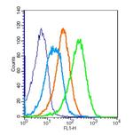 ADRB2 Antibody in Flow Cytometry (Flow)