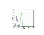 SP-C Antibody in Flow Cytometry (Flow)