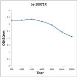 VEGFB167 Antibody in ELISA (ELISA)