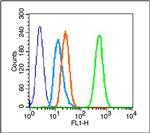 PDGF A Antibody in Flow Cytometry (Flow)