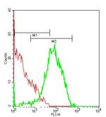 Phospho-Ron (Tyr1238, Tyr1239) Antibody in Flow Cytometry (Flow)