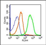 CD274 Antibody in Flow Cytometry (Flow)