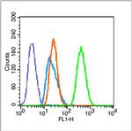 Actin Antibody in Flow Cytometry (Flow)