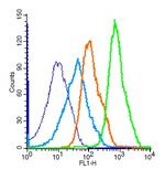 ERK1 Antibody in Flow Cytometry (Flow)