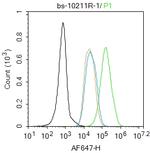FoxP3 Antibody in Flow Cytometry (Flow)