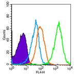 AMPK alpha-1 Antibody in Flow Cytometry (Flow)