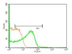 CD86 Antibody in Flow Cytometry (Flow)