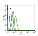 CD86 Antibody in Flow Cytometry (Flow)