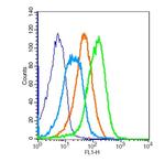 LPA2 Antibody in Flow Cytometry (Flow)