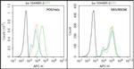 HPV16-E7 Antibody in Flow Cytometry (Flow)