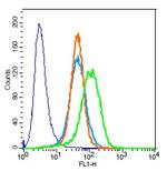 Troponin T Antibody in Flow Cytometry (Flow)