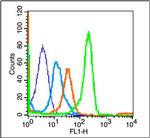 CD8 Antibody in Flow Cytometry (Flow)