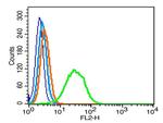 GPM6A Antibody in Flow Cytometry (Flow)