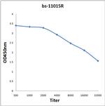 BFSP2/Phakinin Antibody in ELISA (ELISA)