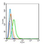 PCDH20 Antibody in Flow Cytometry (Flow)