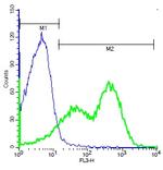 SSTR1/Somatostatin Receptor 1 Antibody in Flow Cytometry (Flow)