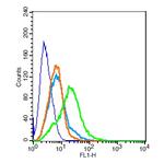 MC4 Receptor Antibody in Flow Cytometry (Flow)