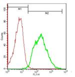 MC5 Receptor/MC5-R Antibody in Flow Cytometry (Flow)