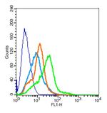 TPIA2/PTPRN Antibody in Flow Cytometry (Flow)
