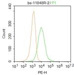 GPR56 Antibody in Flow Cytometry (Flow)