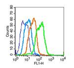 GPR125 Antibody in Flow Cytometry (Flow)