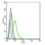 GABRA2/GABA A Receptor alpha 2 Antibody in Flow Cytometry (Flow)