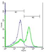 GABRR1 Antibody in Flow Cytometry (Flow)