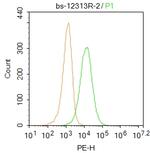 PHEX Antibody in Flow Cytometry (Flow)