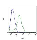 FLRT3 Antibody in Flow Cytometry (Flow)