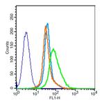 CAPRIN2 Antibody in Flow Cytometry (Flow)