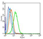 CCR7/CD197 Antibody in Flow Cytometry (Flow)