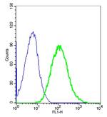 ETL/ELTD1 Antibody in Flow Cytometry (Flow)