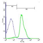 Frizzled 6 Antibody in Flow Cytometry (Flow)
