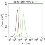 Fibronectin/Ugl-Y3 Antibody in Flow Cytometry (Flow)