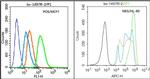 MUC1 Antibody in Flow Cytometry (Flow)