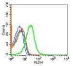 GPCR EX33 Antibody in Flow Cytometry (Flow)