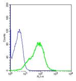 Shh Antibody in Flow Cytometry (Flow)