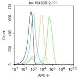 IDO Antibody in Flow Cytometry (Flow)