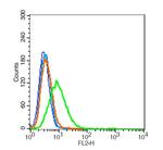 Aquaporin 5 Antibody in Flow Cytometry (Flow)