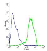 ENPP3/CD203c Antibody in Flow Cytometry (Flow)