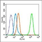 Phospho-Estrogen Receptor alpha (Tyr537) Antibody in Flow Cytometry (Flow)