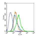 CCR10 Antibody in Flow Cytometry (Flow)