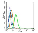 E2F5 Antibody in Flow Cytometry (Flow)