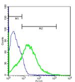 MMP-16 Antibody in Flow Cytometry (Flow)